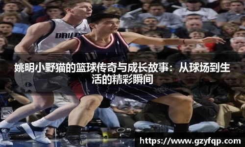 博鱼.体育官网