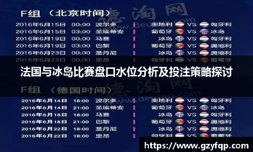 法国与冰岛比赛盘口水位分析及投注策略探讨