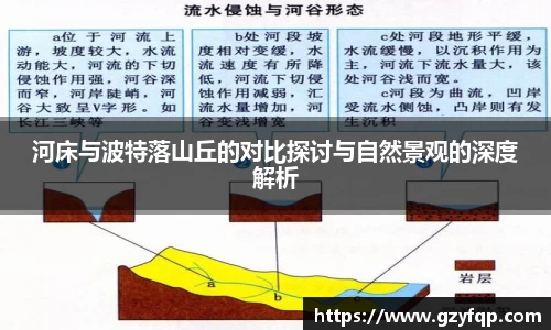 博鱼.boyu体育