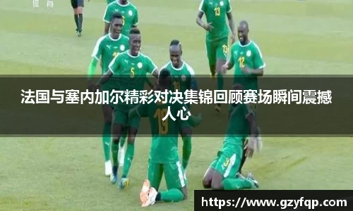 博鱼中国官方入口
